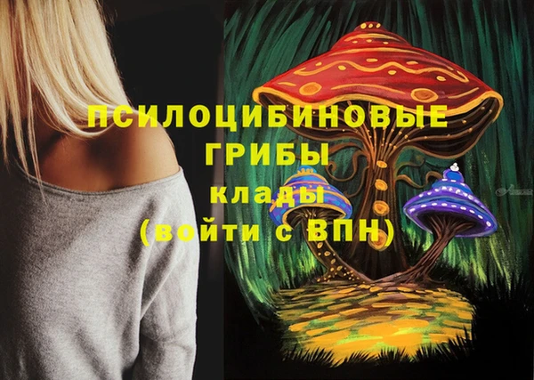 spice Арсеньев