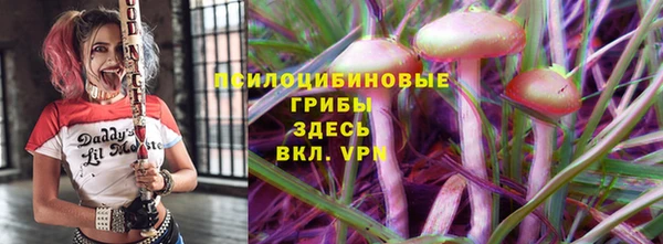 тгк Армянск